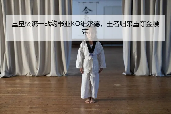 重量级统一战约书亚KO维尔德，王者归来重夺金腰带